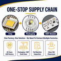 Perles LED GUORUI personnalisées 8 broches RGBW pour l'architecture paysagère extérieure, diodes à haute intensité blanches 6000K-7000K