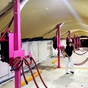 Attrezzatura per Autolavaggio Self-Service Aspirapolvere Multifunzione per Tappeti Uso Commerciale - Product Image 1