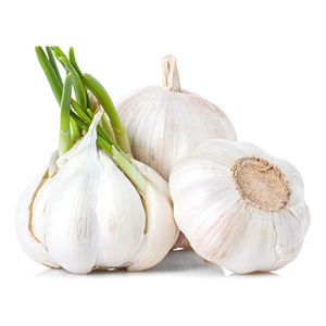 Proveedor de Productos Agrícolas, Ajo de Calidad, Ajo Fresco Puro a Granel, Precio Económico al por Mayor, Ajo Blanco en Venta - Product Image 3