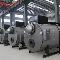 Chaudières horizontales à eau chaude industrielles au gaz, fournies par le fabricant, fabriquées en Chine, économes en énergie pour les hôtels, personnalisables