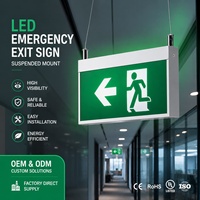 Señales de Salida de Emergencia IP20 con 3 Años de Garantía, 16 Piezas, 2835 SMD LED, Suministro Global al por Mayor, Luz de Respaldo para Pasillos de Edificios de Oficinas