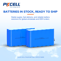 Paket Baterai LFP IFR18650 12.8V 6000mAh 4S3P Baterai Li-ion Isi Ulang untuk Lampu Jalan Tenaga Surya