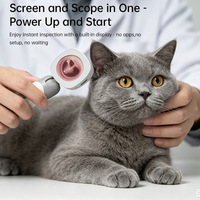 Otoscope vidéo numérique LED HD 1080P 2MP avec logo personnalisé SW, caméra endoscopique portable Wi-Fi pour l'élimination du cérumen à domicile