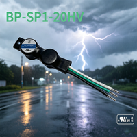 Parafoudre BP-light BP-SP1-20HV 347V 20kV SPD pour lampadaires LED, protection contre la foudre, bloc de bornes, vente en gros usine