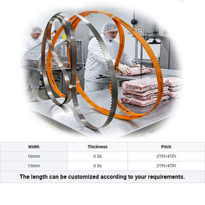 <b>Saw</b> Blades Band Food Meat <b>Bone</b> <b>Saw</b> Blade Manufacturer Customized 1200MM 1650MM 4TPI 3TPI <b>Bone</b> Cutting Band <b>Saw</b> Blade - Product Image 3