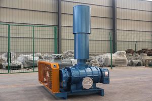 Suministro de Fábrica: Soplador de Aire Industrial para Tratamiento de Aguas Residuales, Aireación al Vacío y Acuicultura - Product Image 6