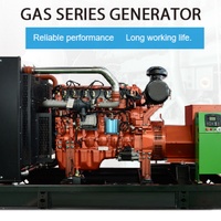 Générateur à gaz silencieux à châssis ouvert 25 kW, gaz naturel, biogaz, GPL, groupe électrogène refroidi par eau, ATS, 1800 tr/min, télécommande