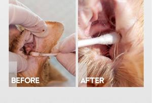 Gouttes auriculaires jetables pour animaux de compagnie contre les acariens et les infections à Malassezia, anti-démangeaisons, nettoyage en profondeur, <span class=keywords><strong>nettoyant</strong></span> <span class=keywords><strong>auriculaire</strong></span> désodorisant pour chiens et chats - Product Image 3