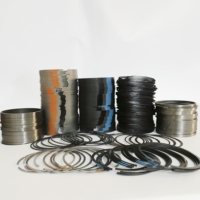 Pièces de moteur N12 N13 N14 N16 N18 N20 N46 N52 N54 N55 N62 N63 S63 B38 B48 B58 N47 N57 M54 Kit de segments de piston pour BMW STD 025 050