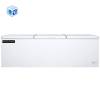 Congélateur horizontal commercial de grande capacité CE CB ETL 1000l, 2 portes, pour restaurants et supermarchés