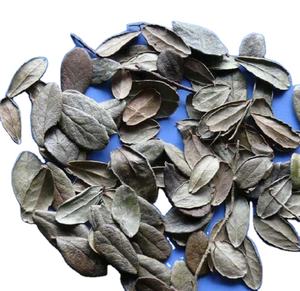 Naturel brut 100% naturel sec busserole feuilles lâche séché raisin d'ours feuille thé - Product Image 1