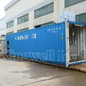 Well installed containerized block ice machine plant with cold room for ice keeping