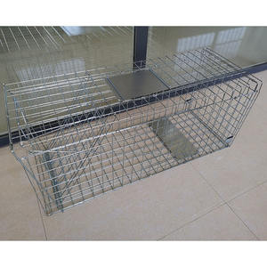 Piège à oiseaux vivants de haute qualité, piège à chats et écureuil, <span class=keywords><strong>Cage</strong></span> en acier inoxydable, pour les magistes - Product Image 3