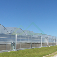 Complete turnkey oplossing voor grote schaal groenten- en sierplantenteelt in multi-span commerciële kassen met PE-folie afdekking