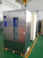 Fruit Groenten Dehydrator Droger Mango Drogen Productiemachine Ananas Mango Bananendroger Mango Chip Making Machine