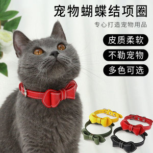 Collier élégant pour chien et chat en PU vert, résistant, toutes saisons, style élégant - Product Image 4