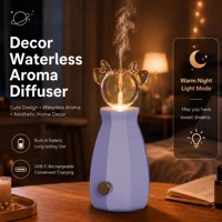 Diffuseur d'huiles essentielles HIITII Pure Aromas - Nébulisation sans eau, rechargeable, éclairage LED, portable pour la maison, l'hôtel, cadeau