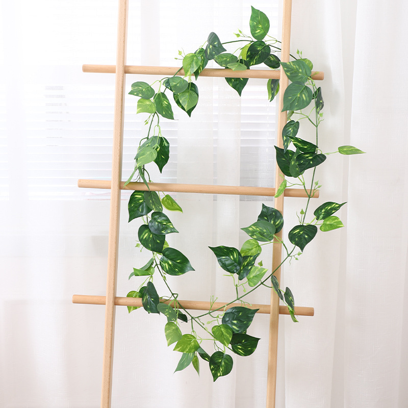 Hojas de potos moteadas con diseño de líneas.