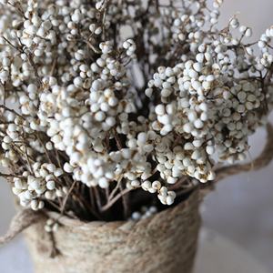 ดอกไม้แห้งธรรมชาติผลเบอร์รี่ Excoecaria แจกันฟิลเลอร์ดอกไม้โต๊ะรับประทานอาหารกลางตกแต่งแปะก๊วยขนาดเล็ก - Product Image 2