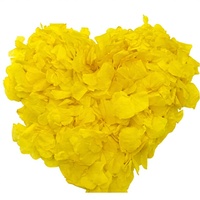 Confettis de pétales d'hortensia jaunes biodégradables, pétales de fleurs séchées, décoration pour allée de mariage, événements et fêtes