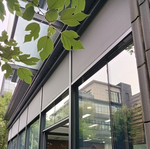 Vendita calda di alta qualità tapparelle a cerniera per schermo esterno padiglione Patio vestibolo Hotel balcone-elettrico incorporato - Product Image 6