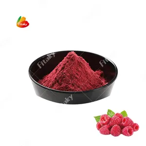 Low Price Natural Organic Raspberry Extract Powder Raspberry Juice Powder Raspberry Powder