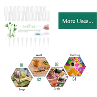 100 pipettes WEAI, pipettes transparentes en plastique, 0,5 ml, 1,5 ml, 2 ml, 3 ml, 5 ml, 10 ml, pipettes Pasteur de laboratoire