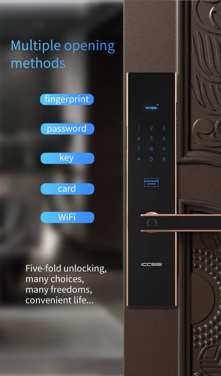 Khóa Cửa Vân Tay Thông Minh IccssI K6