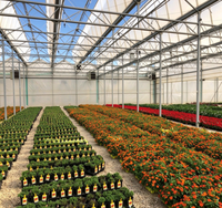 Kit de Serre Commerciale pour Légumes, Ensemble Complet de Serre Agricole pour la Culture de Fleurs, Fraises et Poivrons - Vente Chaude