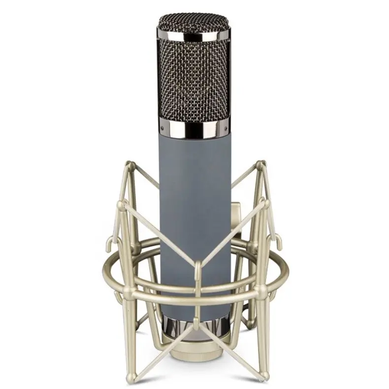 Microphone à condensateur, grand diaphragme professionnel, Studio pour la diffusion en direct