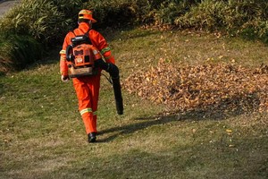 Souffleur forestier à dos thermique à deux temps EB430, souffleur de neige, <span class=keywords><strong>aspirateur</strong></span> et sèche-cheveux - Product Image 5