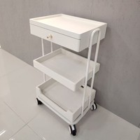 Chariot de beauté portable à roulettes pour salon de coiffure, chariot de travail pour coiffeur, chariot de rangement pour outils de salon