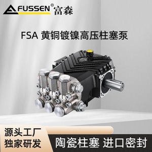 ปั๊มลูกสูบแรงดันสูง Fusen 250 บาร์ 15 ลิตร/นาที ทองเหลืองชุบนิกเกิล สำหรับบำบัดน้ำอุตสาหกรรม - Product Image 5