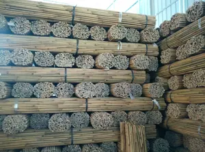 Poteau en bambou pour les gardes d'arbre 22-24mm,240cm