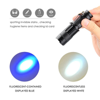 Puissant Mini torche de lumière UV 365nm 395nm Blacklight LED Zoom aluminium corps argent détecteur d'urine pour animaux de compagnie lampe de poche ultraviolette