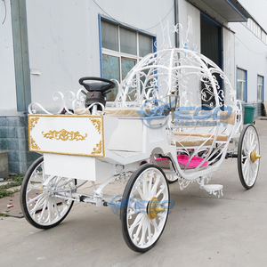 Calèche royale électrique de haute qualité, fermée, à chevaux, pour mariage et visites touristiques, à vendre - Product Image 6