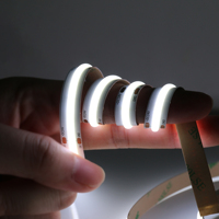 Bande lumineuse LED RGBIC Dreamcolor Flex COB Stripe tira de luces Adressable Programmable 12 24 volts Digital RGB IC