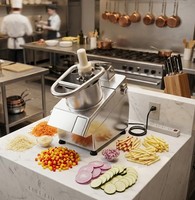 Machine à couper les légumes et les fruits électrique multifonctionnelle, trancheuse, hachoir, coupe-légumes commercial