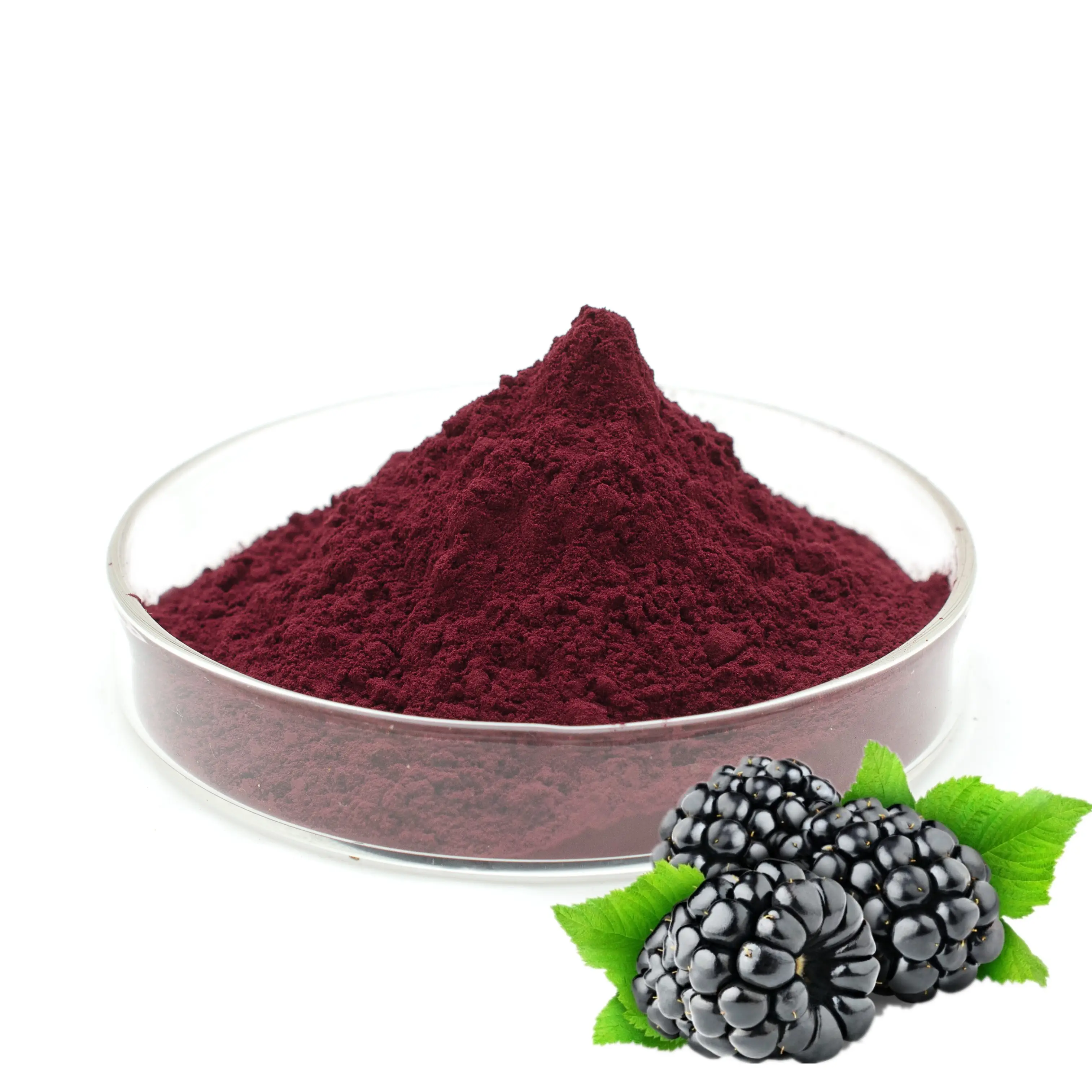 Hot sale mulberry extract mulberry powder mulberry juice powder