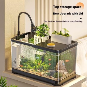 Aquário de Mesa Criativo para Peixes Dourados e Tartarugas com Acessórios de Paisagismo Ecológico - Product Image 3