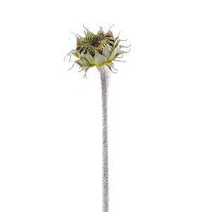 Girasoles Artificiales Secos con Tallo, Cabeza de Flor Artificial de Seda para Arreglos Florales en el Hogar, Bodas, Venta al por Mayor - Product Image 6