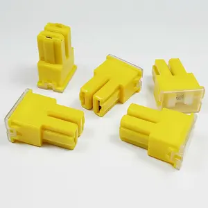 20A 30A 40A 50A 60A 70A 80A 100A J Case Micro type Auto Fuse Slow Blow Fuse