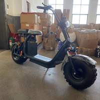 2025 cadre en acier vélo de ville électrique Scooter électrique frein à disque 1000w 1500w 2000w hors route gros pneu Citycoco pour hommes et femmes