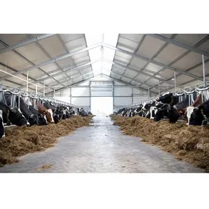 Struttura in acciaio prefabbricati mucca fattoria/mucca capannone