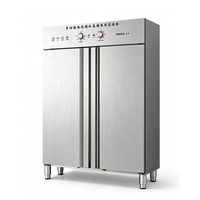 Armoire de stérilisation à circulation d'air chaud de niveau professionnel, grande capacité, pour écoles et restaurants