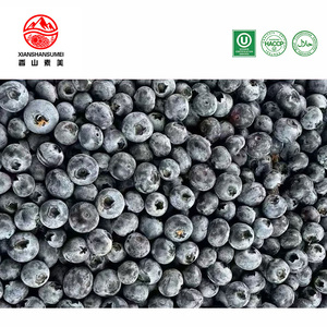 <span class=keywords><strong>Myrtilles</strong></span> entières <span class=keywords><strong>surgelées</strong></span> en gros IQF, qualité supérieure pour la transformation alimentaire - Product Image 2