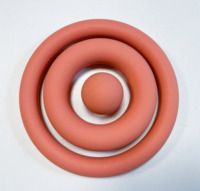 Anneaux lestés en silicone portables et durables de 5 à 10 lb pour le Pilates féminin en studio et les ensembles d'haltères de fitness