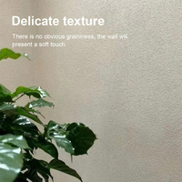 Peinture murale multi-occasions environnementale créative à base d'eau pour l'intérieur, avec effet de sable de cristal et d'art, pour les murs en béton.