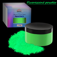 Polvere Pigmentata Fluorescente all'Ingrosso, 12 Colori che si Illuminano al Buio, Bicolore Giorno/Notte per Resina Epossidica, Vernice, Cemento, Forniture per Artigianato Fai-da-Te