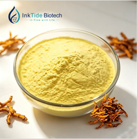 Berberine HCl 97% HPLC Extrait de Coptis Chinensis CAS 633-65-8 Matière première végétale en vrac Échantillon gratuit Ink Tide Biotech